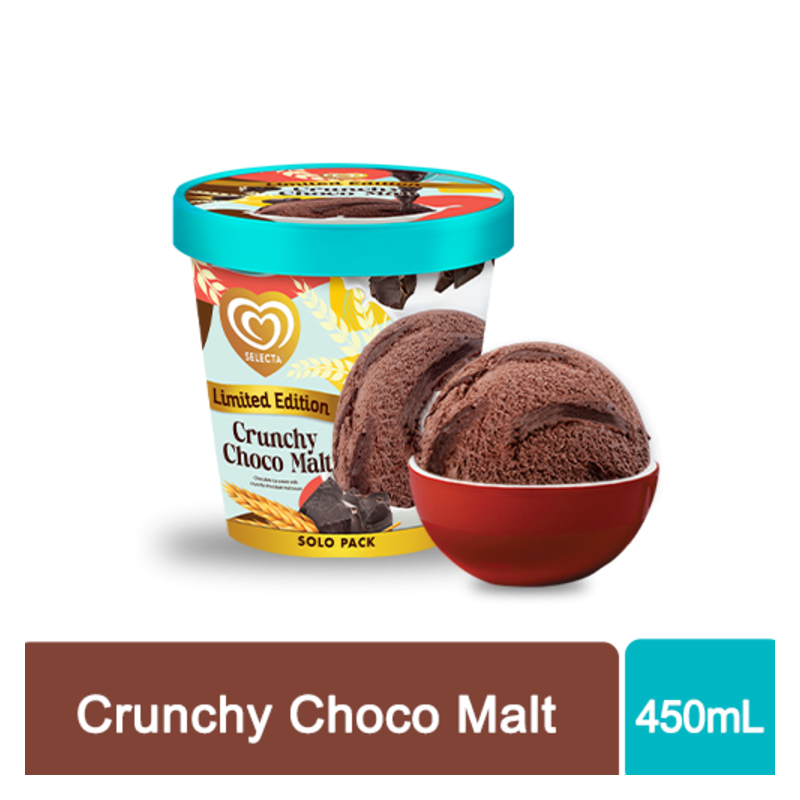 Selecta Crunchy Choco Malt Ice Cream 450ml